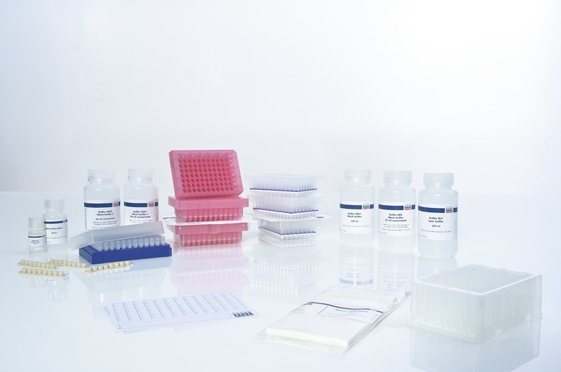 AllPrep DNA/RNA 96 Kit (4) 货号80311 北京金泰宏达生物科技有限公司