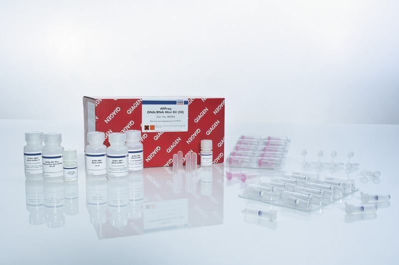 AllPrep DNA/RNA Mini Kit (50) 货号80204 北京金泰宏达生物科技有限公司
